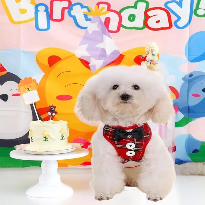 Dog Tuxedo for Wedding, Formal Pet Suit with Bow Tie and Leash, Adjustable Dog Costume for Small Medium Large Dogs, Birthday Christmas Halloween Party Apparel, M（8-14LB）-PurrikoPets