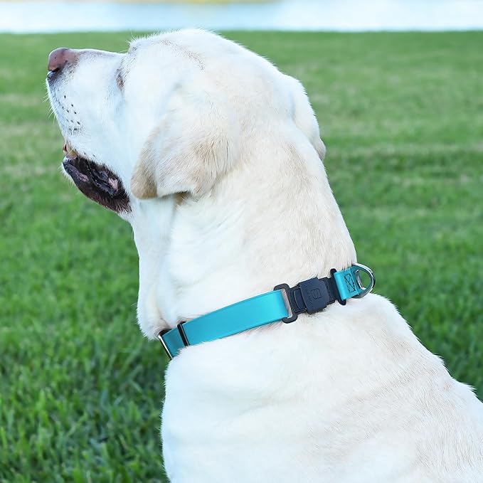 Dogline Biothane Waterproof Dog Collar with Herm Sprenger Stainless Steel Quick Release Buckle – Heavy Duty Tactical Durable Collar for Dogs – Comfortable and Safe Pet Collar, W 3/4" L 12-19" Sky Blue-PurrikoPets
