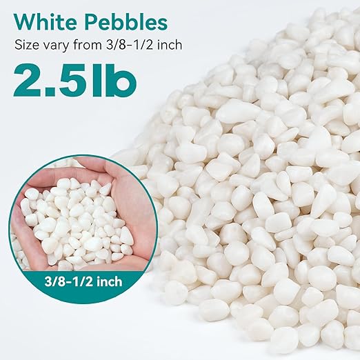 2.5 lbs Small White Rocks for Planters, 3/8" White Pebbles for Vases, Decorative Small Stones for Plants, Succulents, Bamboo, Terrarium, Landscape, Garden-PurrikoPets