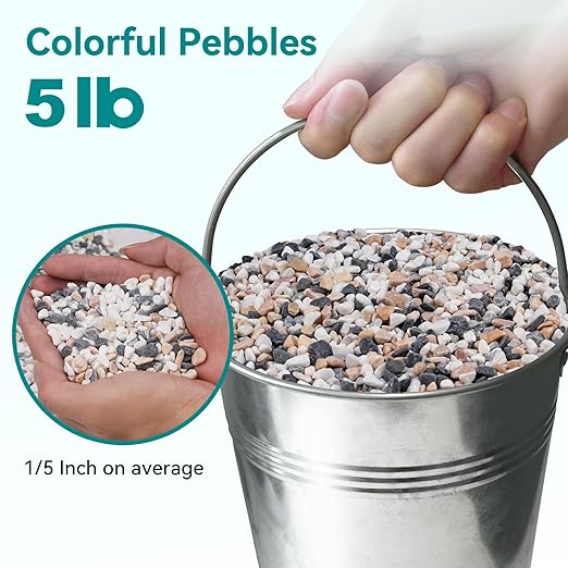 5 lbs Small Rocks for Succulents, 1/5 Inch Pebbles for Indoor Plants, Decorative Pea Gravel for Terrarium, Vases, Aquariums, Fish Tank, Drainage Rocks for Potted Plants, Bamboo,Crafts, Cactus-PurrikoPets
