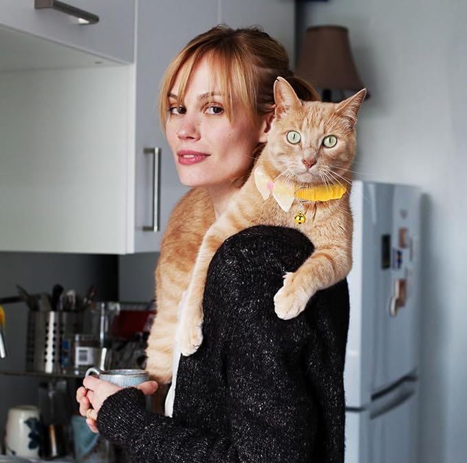 16 PCS Cute Cat Collars Breakaway with Bell for Boy Cats and Girl Cats Gifts (#2-Multicolor Lace)-PurrikoPets