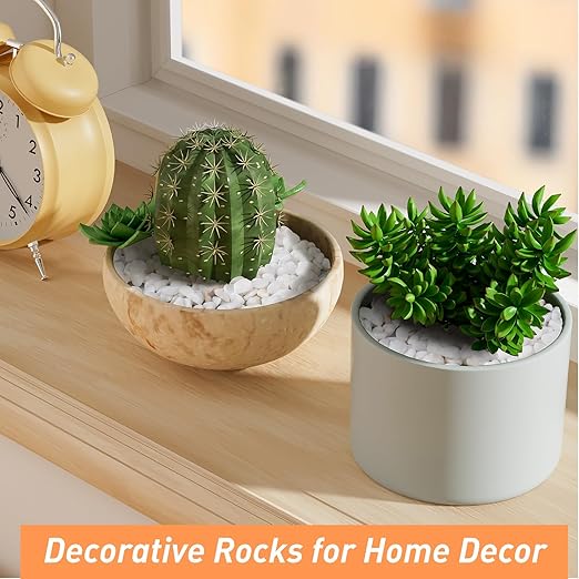 5 lbs White Aquarium Gravel, 1/5 Inch White Rocks for Plants, Small Pebbles for Vases, Succulents, Bamboo, Natural Decorative Pebbles for Plants Drainage, Cactus, Crafts-PurrikoPets