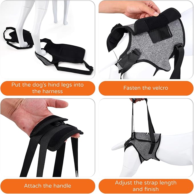 Dog Sling for Medium Large Dog Rear Leg, Lift Harness Provide Support with Muscle Atrophy and Joint Problems for Elderly Injured Arthritic Pet, Dog Weak Rear Legs Provides Rehabilitation Aid-PurrikoPets