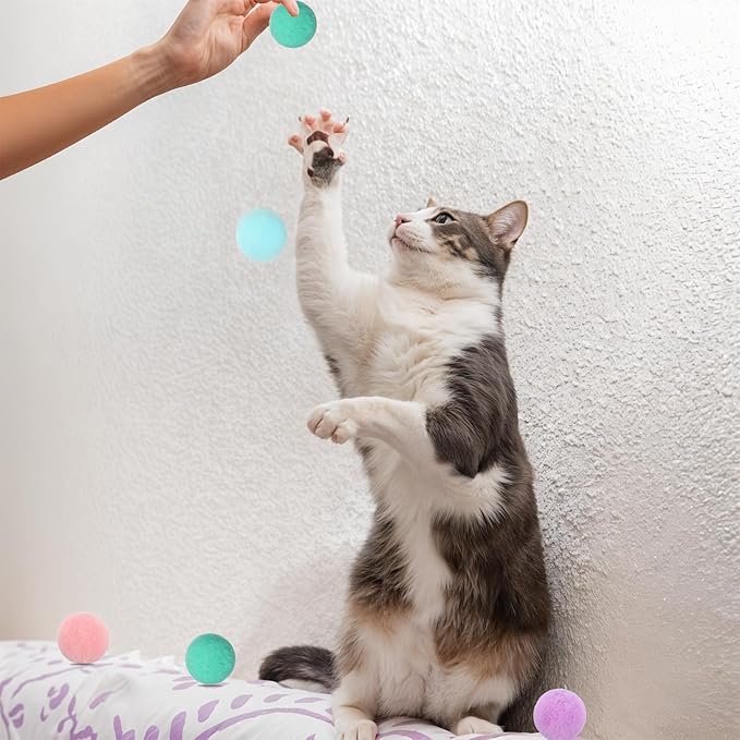 50 Pcs Cat Toy Balls 1.2-inch Colorful Cat Pom Pom Balls Soft Interactive Kitten Ball Cats Exercise Toys Fuzzy Kitten Interactive Playing Quiet Toy for Cats Pet-PurrikoPets