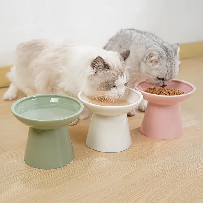 Extra Wide Elevated Ceramic Cat Food Bowl - 6.2" Shallow Dish for Whisker Fatigue Relief, 5" Height for Easy Feeding, Lead & Cadmium Free, Durable Raised Cat Food Bowls, Pink-PurrikoPets