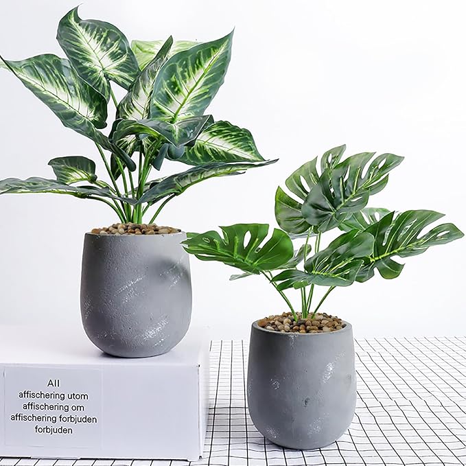 2 Pounds Pebbles for Plants, 3/8 Inch Polished Pea Gravel. Decorative Stones River Rocks for Succulent Soil Cover, Cactus, Aquarium, Vase and Outdoor Garden Landscaping-PurrikoPets