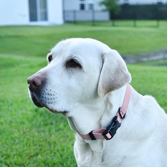 Dogline Biothane Waterproof Dog Collar with Quick Release Buckle Strong Coated Nylon Webbing with Odor- Proof for Easy Care Easy to Clean Fits Small Medium Large Dogs, Lavender 5/8" W 9-14" L-PurrikoPets