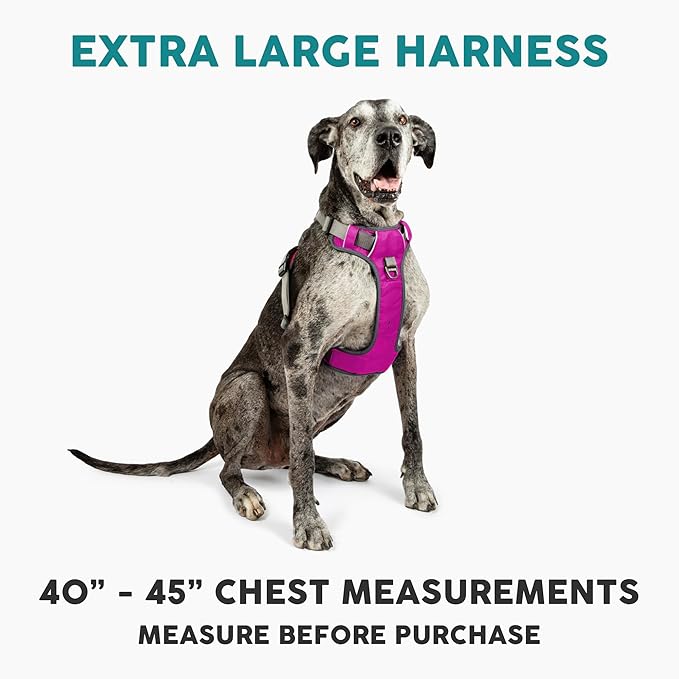 Embark Adventure Dog Harness, Reflective Trim XL Dog Harness for Extra Large Dogs No Pull - Military Grade Nylon, 2 Leash Clips & Gel Lined Handle.-PurrikoPets
