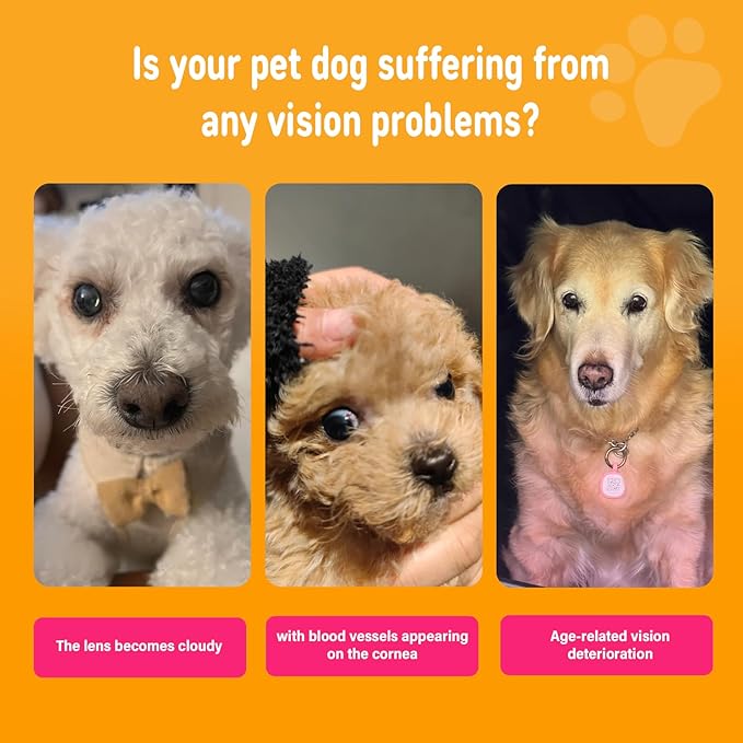 Eye Supplements for Dogs - Vision Support Soft Chews with Lutein, DHA & Vitamin C | 120ct Salmon Flavor Tear Stain Chews | Cataract & Dry Eye Relief Supplement (120 Ct, Salmon)-PurrikoPets