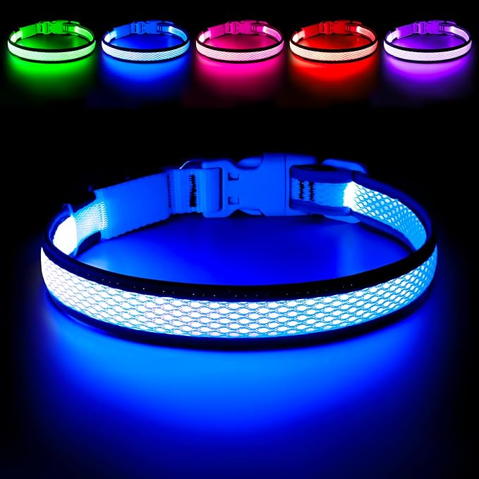 Flashseen LED Dog Collar, Light Up Dog Collar USB Rechargeable, Brightest Dog Lights for Night Walking, Adjustable Dog Collar Light for Dog Safety (Large, Royal Blue)-PurrikoPets