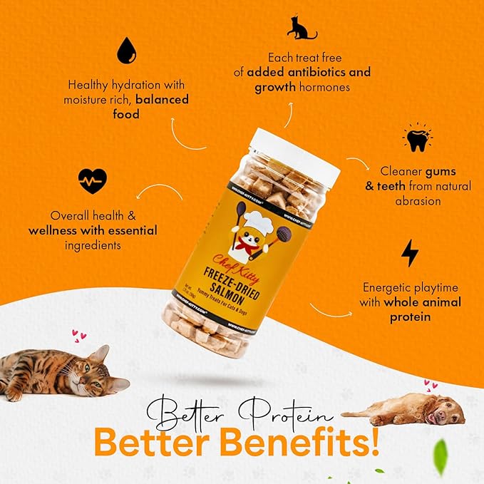 Freeze-Dried Salmon Treats for Cats & Dogs – 100% Wild Caught, Single Ingredient, High-Protein, Healthy Snack – No Additives or Preservatives – 1.4oz - Inspected & Tested in USA-PurrikoPets