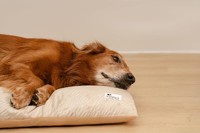 FUNNY FUZZY Washable Dog Bed,Reversible Plush Dog Crate Mat, Soft Fluffy Kennel Pad,Pet Sleeping Mattress for Jumbo,X-Large Sized Dogs Breeds,2XL,48"× 31",Beige-PurrikoPets