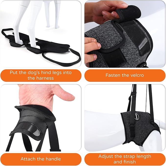 Dog Sling for Medium Large Dog Rear Leg, Lift Harness Provide Support with Muscle Atrophy and Joint Problems for Elderly Injured Arthritic Pet, Dog Weak Rear Legs Provides Rehabilitation Aid-PurrikoPets