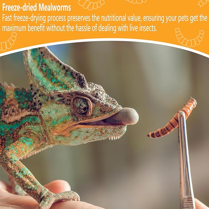 Freeze Dried Mealworms 6 Oz - High Protein Pet Food for Reptiles, Bearded Dragons, Birds & Hedgehogs - Nutrient-Packed Treat for Lizards, Geckos, Turtles, Chickens-PurrikoPets