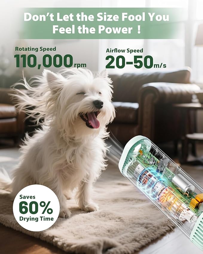 2-in-1 Hands-Free Dog Hair Dryer with Table Clamp – Low Noise Pet Grooming Dryer for Dogs & Cats, Adjustable Heat & Speed, Wearable or Desktop Use(Green)-PurrikoPets