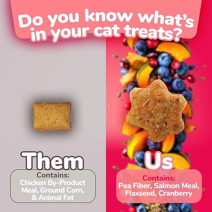 Fruitables Cat Crunchy Treats For Cats – Healthy Low Calorie Packed with Protein – No Wheat, Corn or Soy – Made with Real Salmon with Cranberry – 2.5 Ounces-PurrikoPets