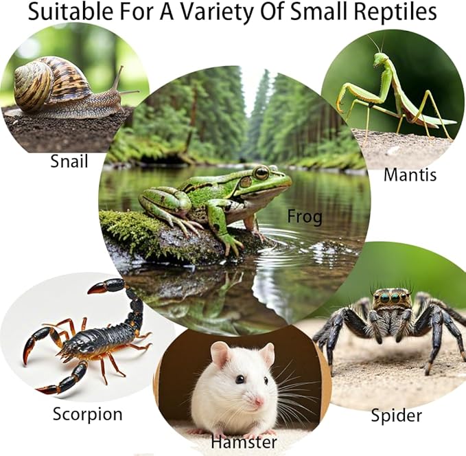 Acrylic Jumping Spider Enclosure,Reptile Enclosure,Bug Habitat, for Small Tree Dwelling Reptiles,Arboreal Tarantula Enclosure, Spider Terrarium Kit,Plastic Terrarium(4.7" X 4.7" X 8")-PurrikoPets