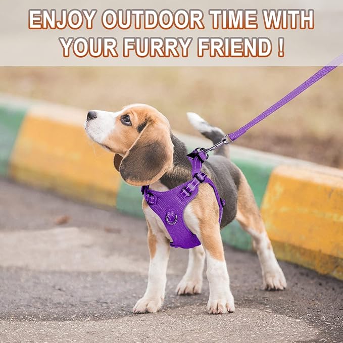 Dog Harness Step in Dog Vest Harness, Reflective Adjustable Puppy No Pull Harness Breathable Soft for Small and Medium Dogs Cats, Purple, S-PurrikoPets