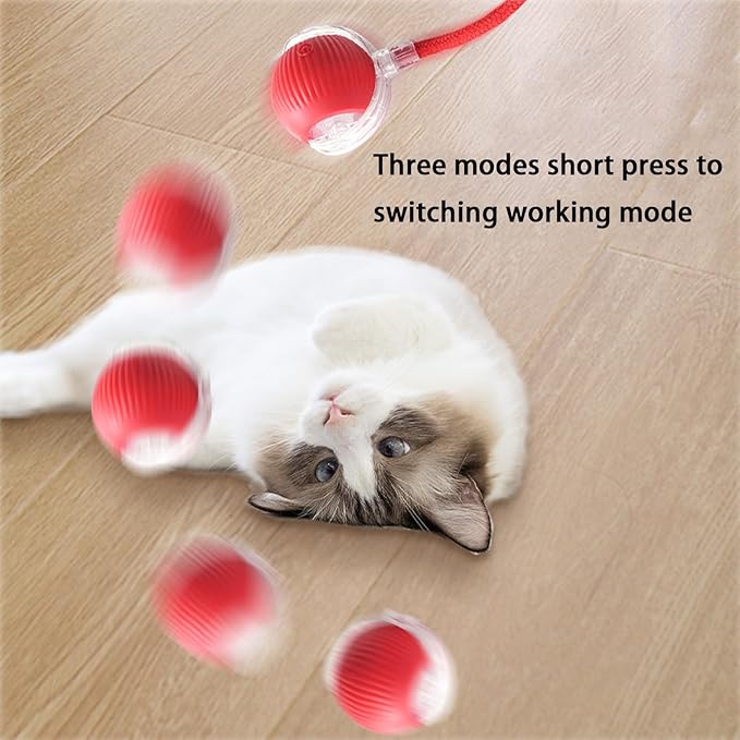 2 Packs Interactive Cat Toy Ball for Indoor Cats - 3-Speed Smart Rolling Ball with Flashing Lights, USB Rechargeable Automatic Motion Kitten Toys for Bored Adult Cats & Playful Kittens-PurrikoPets
