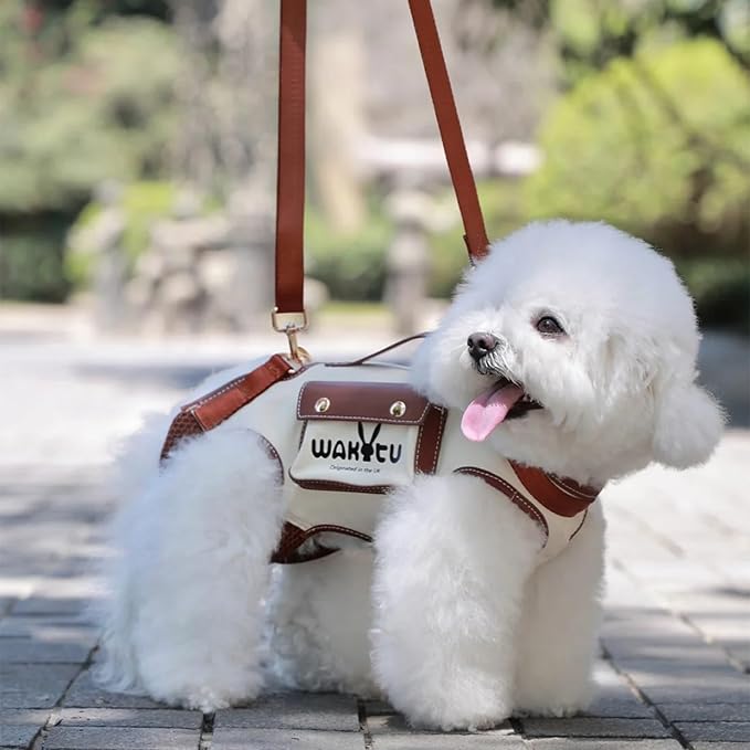 Dog Lift Harness Dog Carrier VES Harness Adjustable Leash with Small Puppy Treat Bag,Fits Most Cars,XS-PurrikoPets