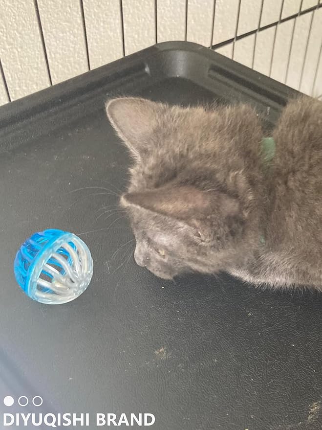 10-Pack Colorful Cat Toy Balls with Bells for Indoor Cats and Kittens (1.5'' - 2.3'', Cat Toys Mega Set)-PurrikoPets