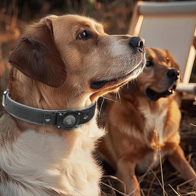 AirTag Dog Collar - Leather Dog Collar with Air Tag Holder | IPX8 Waterproof, Reflective, High - End, Adjustable Soft Padded | Dog GPS Tracker Collars Fit for Medium Large Dogs (Black, XL)-PurrikoPets