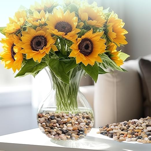 2.5 lbs Pebbles for Indoor Plants, Vase, Succulent, 3/8" Gravel for Plants, Pots Indoor, Bamboo Rocks for Bamboo Plants, Decorative Small River Rock, Highly Polished-PurrikoPets