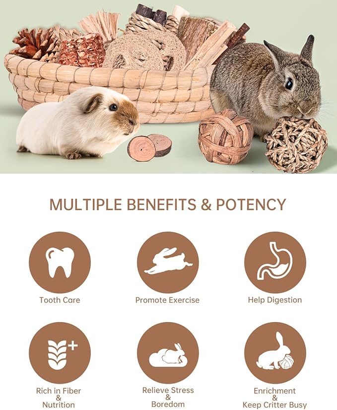 31PCS Rabbit Chew Treat Toys for Teeth Health, Natural Bunny Enrichment Toys for Boredom & Stress Relief, Keep Busy Toys for Guinea Pig Chinchilla Hamster Rat Gerbil Degu Indoor Outdoor-PurrikoPets