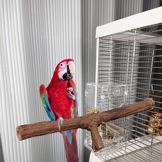 4 Pcs Natural Wooden Bird Perch Parrot Stand, 2 Grape Wood Perches, A Stand Fork Standing Branch, A Paw Grinding Fork, Bird Cage Accessories for Parakeets, Birdcage Sticks & Toys for Budgies, Finches-PurrikoPets