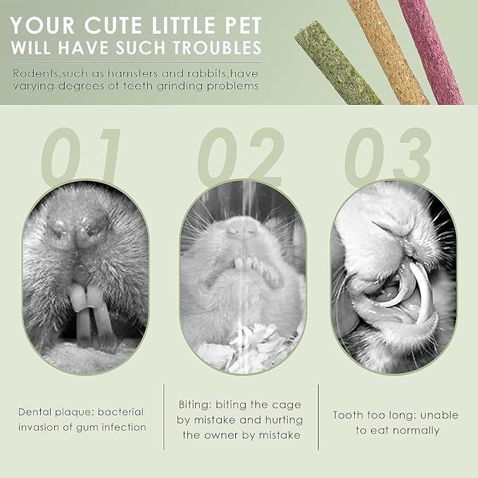 ERKOON Timothy Hay Sticks,Rabbit Chew Toys for Teeth Natural Molar Sticks Rabbits Treats for Bunnies, Chinchilla Guinea Pigs, Gerbil, Hamster (50 Pcs)-PurrikoPets