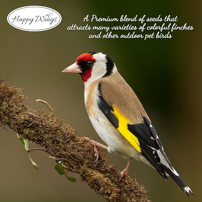 Finch Blend Bird Food - Mix of Sunflower Hearts/Kernels and Nyjer, 5 Pounds - No Grow Seed - For Wild Birds-PurrikoPets