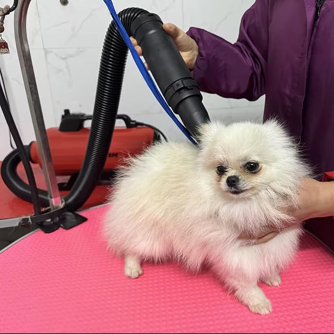 Dog Pet Dryer, 3000W High Velocity Pet Dryer Adjustable Speed Dog Grooming Blower Double Motor, Pet Grooming Hair Drying(4HP), Hot Air Dog Hair Dryer Blower with 2 Nozzle-PurrikoPets