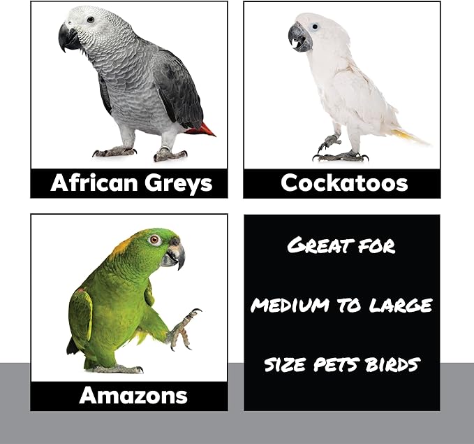 1410 Stainless Pot Delight from Parrots Cockatiels Conures Budgies Macaws Lovebirds African Greys Parrot Toys Stainless Foraging Chew Treat Noise-Making Fun Sensory Enrichment.-PurrikoPets