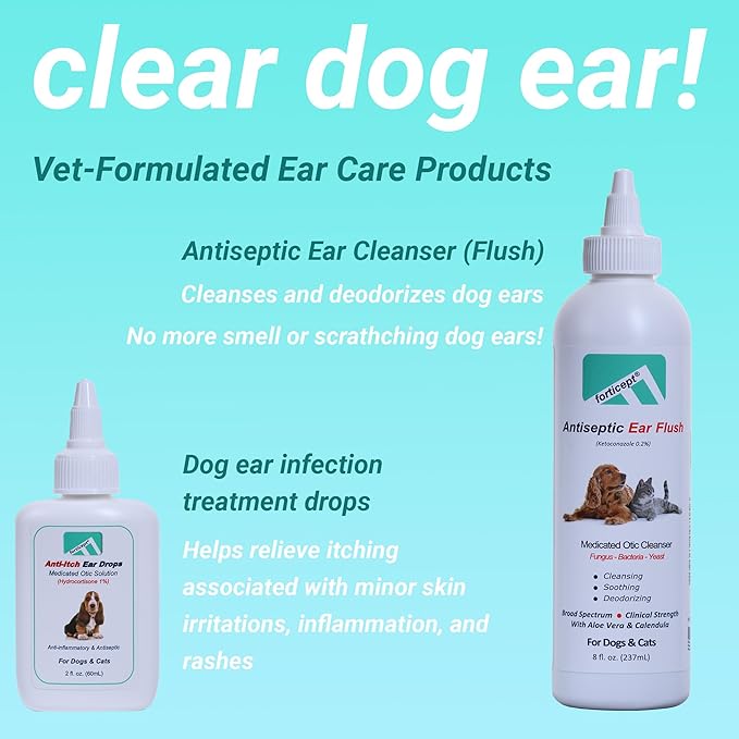 Forticept Blue Butter – Hot Spot Treatment for Dogs | Dog Wound Care | Skin Yeast Infections, Ringworm, Cuts, Rashes, First Aid Veterinary Strength Topical Ointment 4oz-PurrikoPets