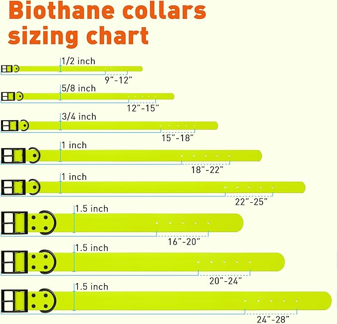 Dogline Biothane Waterproof Dog Collar Strong Coated Nylon Webbing with Black Hardware Odor- Proof for Easy Care Easy to Clean High Performance Fits Small Medium or Large Dogs, Safety Yellow-PurrikoPets