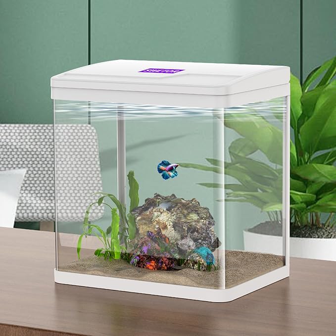 2 Gallon Betta Fish Tank Starter Kit, Self-Cleaning Aquarium with Built-in Filter and LED Light-PurrikoPets