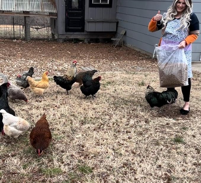 10lbs Dried Mealworms - Premium Non-GMO Chicken Feed, Nutritious High Protein Meal Worms- Food and Treats for Laying Hens, Wild Birds, Ducks, Chicken-PurrikoPets