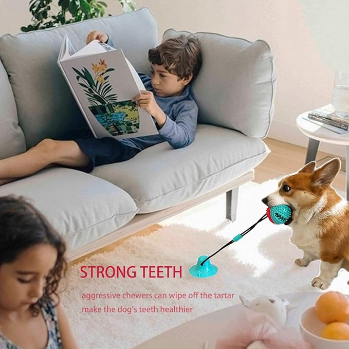 Dog Toys Dog Chew Toys for Aggressive chewers, Puppy Dog Training Treats Teething Rope Toys for Boredom Dog Puzzle Treat Food Dispensing Ball Toys for Puppies Teething (Blue)-PurrikoPets