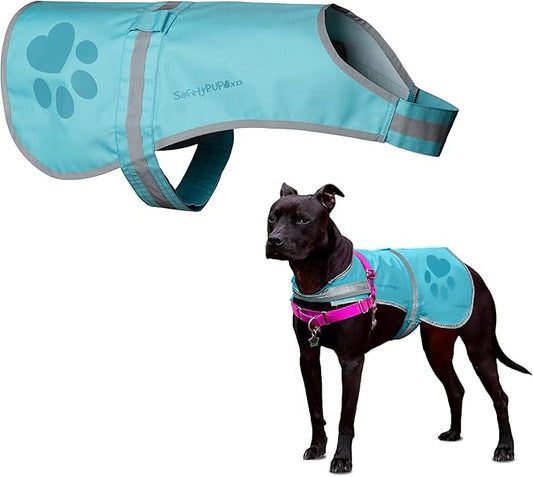 Dog Reflective Vest – Hi-Vis Fluorescent Visibility That Helps to Safeguard Your Pet On/Off Leash in Urban & Rural Areas (Teal, Medium)-PurrikoPets