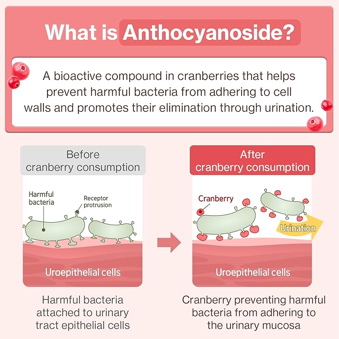 Dr.by UT Care Cat UTI Kidney Support Urinary Supplement Cranberry Treatment for Cats Renal Health with Pacran, Quercetin, Taurine lickable Formula Individually Packaged (1 Pack)-PurrikoPets