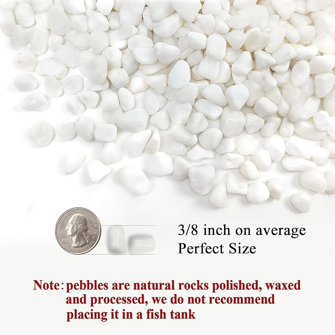 10 lbs White Pebbles for Indoor Plants, 3/8 Inch Decorative White Stones. Polished River Rocks for Potted Plants Vase Cactus Bird Bath and Outdoor Garden Landscaping-PurrikoPets