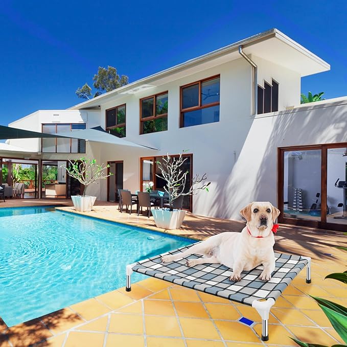 Elevated Outdoor Raised Dog Bed Outdoor Dogs Bed Lifted Pet Bed Dog Cot for Medium Pet Taste Life, Start with A Pet Bed 34'' x 26'' x 6.5''-PurrikoPets