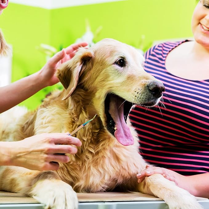 3 Pieces Dog Dental Tooth Scaler and Scraper Stainless Double Headed Tarter Removing Tool Scraper Pet Teeth Cleaning Tools for Dog and Cat (Rainbow Color)-PurrikoPets