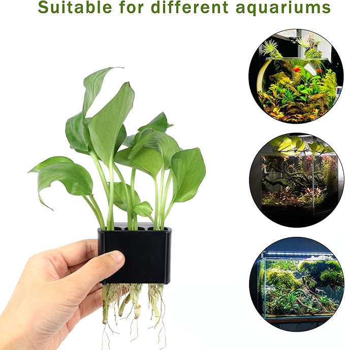 2Pcs 3 Holes Upgraded Aquatic Plant Cup Aquarium Plant Holder for Tank, Hanging Aquarium Plant Holder, Aquarium Aquatic Plant Cultivation, Aquarium Plant Decoration.-PurrikoPets