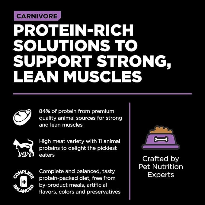 Go! Solutions Carnivore, Grain-Free, Protein Rich Dry Cat Food, Chicken, Turkey and Duck Recipe, 3 lb Bag-PurrikoPets