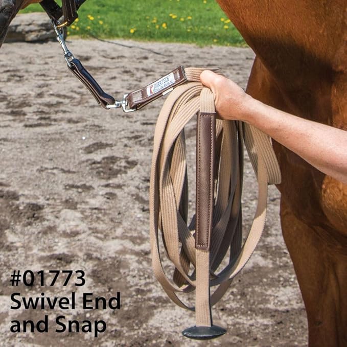 Dura-Tech German Web Cord Lunge Line for Horses | Soft Grip Ribbed Webbing | Lightweight & Durable | Nickel-Plated Snap or Chain Options | Lunch Line with Swivel End and Snap-PurrikoPets