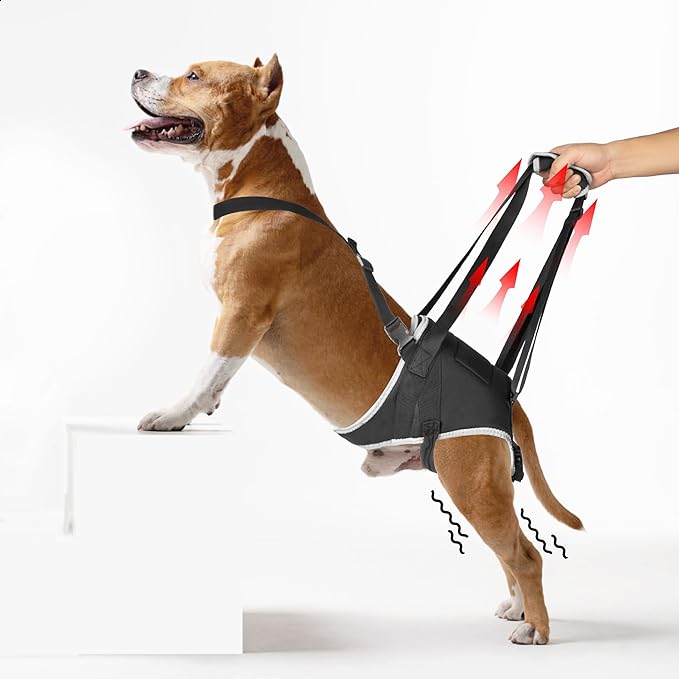 Dog Hip Support Brace – Rear Leg Lift Harness for Mobility & Post-Surgery Recovery, with Chest Straps and Adjustable Elastic Buckles, Customization-PurrikoPets