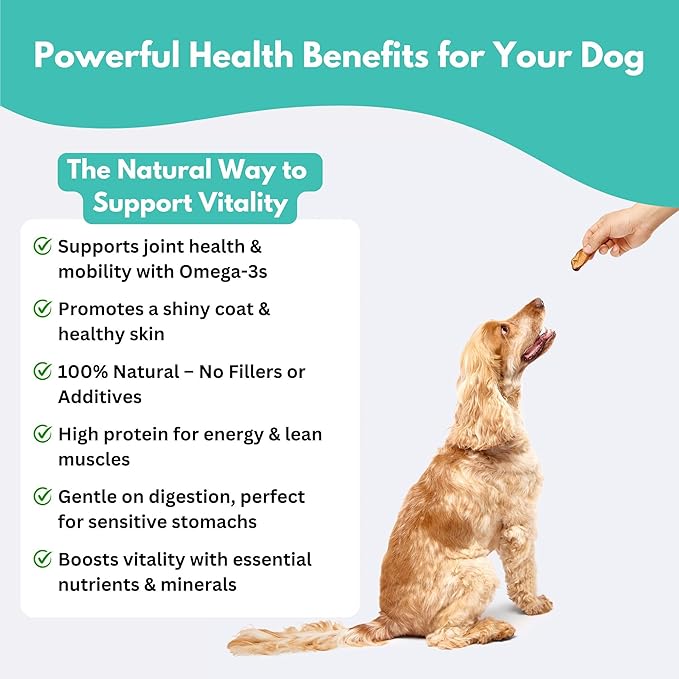 ALFIE'S TREATOS Green Lipped Mussels for Dogs & Cats (2.65 oz), Air-Dried Dog Treats, Natural Supplement & Omega-3 Food Topper, Single Ingredient, Freeze-Dried Alternative-PurrikoPets