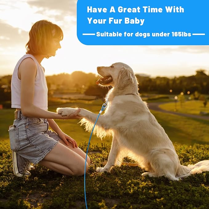 10/15/20/25/30 FT Dog Tie Out Cable - Steel Wire Dog Runner with Durable Clips for Outside Lead - Blue - Up to 165 lbs-PurrikoPets