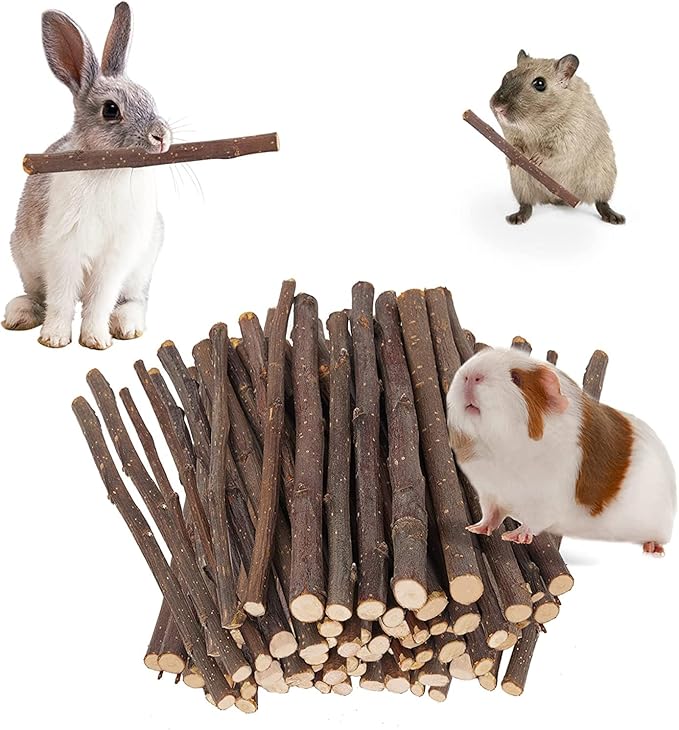 600g Apple Sticks Molar Wood Treats, Rabbit Toys Chinchilla Guinea Pig Bunny Toys Wood Chews Sticks for Teeth Rabbit Food Guinea Pig Hamster Gerbil Chews Small Animals Snacks(150 Pcs)-PurrikoPets
